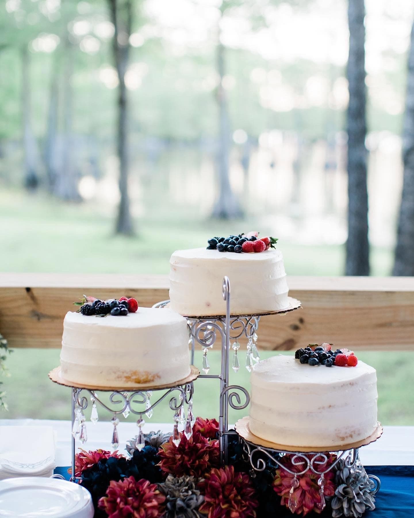 Cake, cypress, and berries